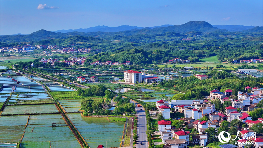 撫州市南豐縣太和鎮丹陽村，公路沿線的水產養殖塘星羅棋布、色彩斑斕，與周邊農房、稻田、青山交相輝映。人民網 朱海鵬攝