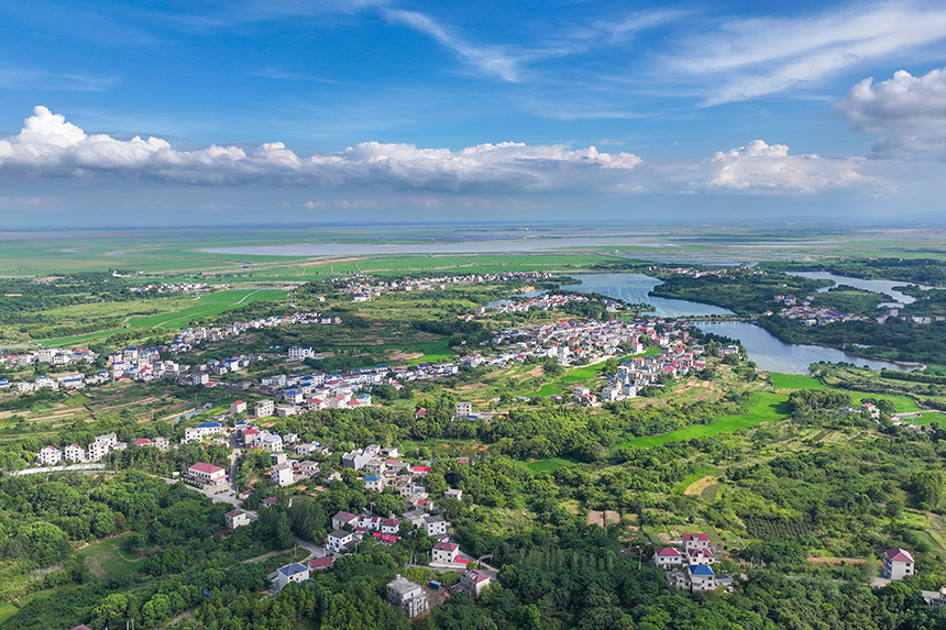 江西共青城市，廣袤的農村大地上一片綠意盎然，山清水秀，呈現出一派生機勃勃的景象。潘成攝