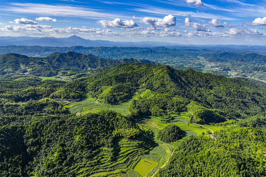 航拍鏡頭下的塘家山村，一派美麗的生態田園畫卷。謝東攝