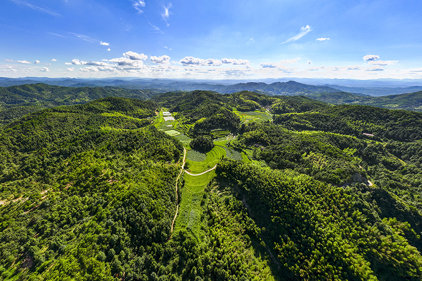 航拍鏡頭下的塘家山村，一派美麗的生態田園畫卷。謝東攝