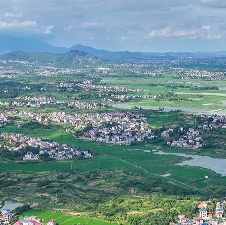 江西共青城：夏日鄉村 綠意盎然