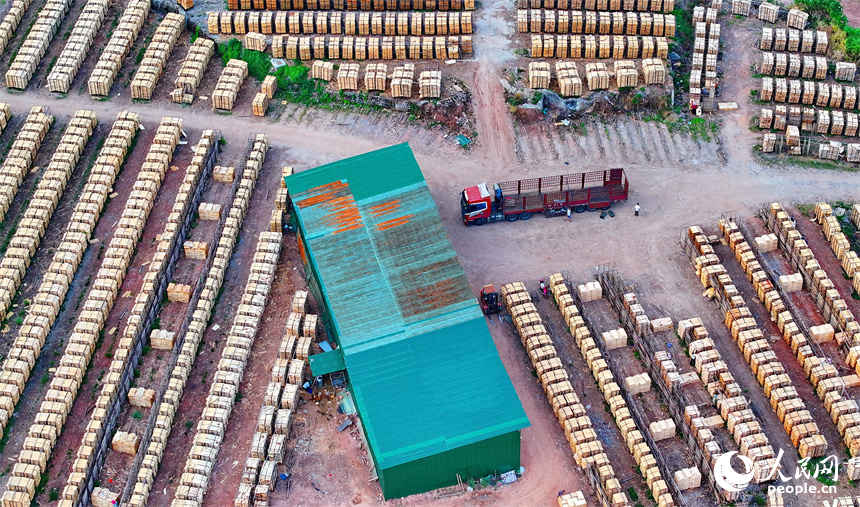 撫州市南豐縣琴江鎮的一處板材加工基地，村民利用晴好天氣的有利時機在晾曬板材半成品。人民網 朱海鵬攝