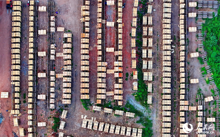 撫州市南豐縣琴江鎮的一處板材加工基地，村民利用晴好天氣的有利時機在晾曬板材半成品。人民網 朱海鵬攝