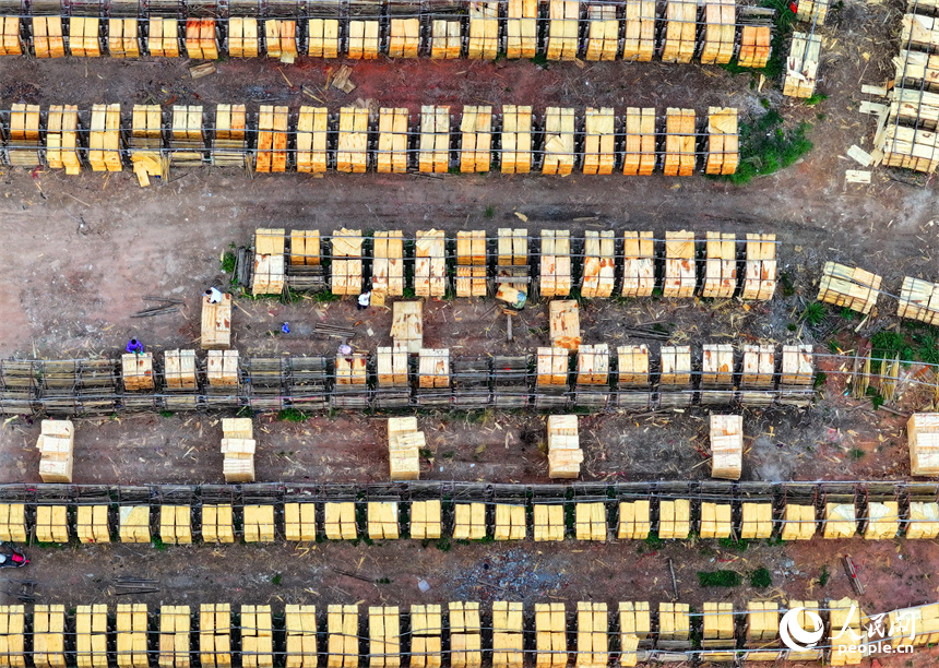 撫州市南豐縣琴江鎮的一處板材加工基地，村民利用晴好天氣的有利時機在晾曬板材半成品。人民網 朱海鵬攝