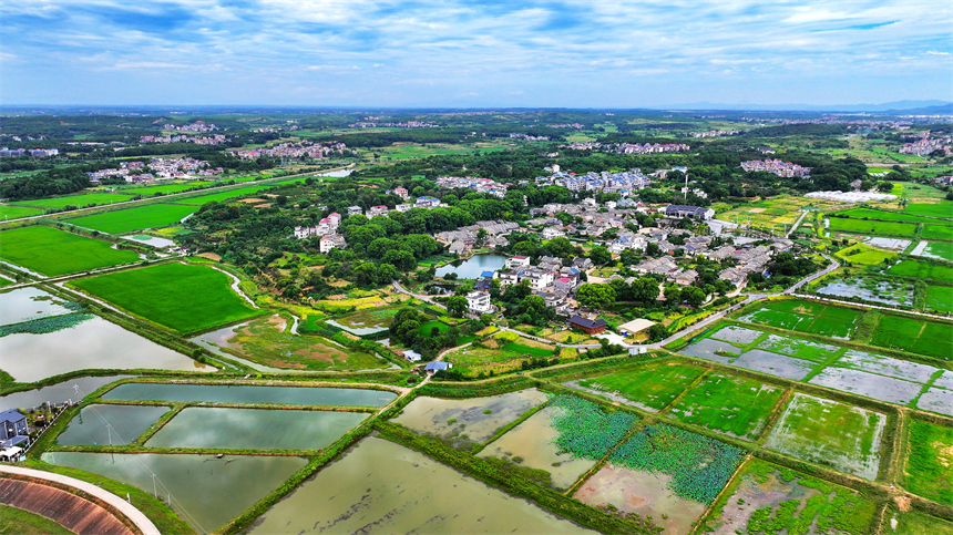 江西省吉安市吉水縣金灘鎮燕坊古村秋色宜人，眾多徽派古宅錯落有致。廖敏攝