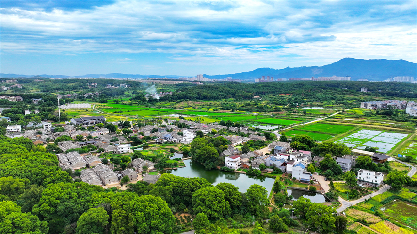 江西省吉安市吉水縣金灘鎮燕坊古村秋色宜人，眾多徽派古宅錯落有致。廖敏攝