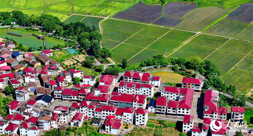 撫州市南豐縣萊溪鄉九聯村，白墻紅瓦的民居與綠色田園相互映襯，構成一幅宜居宜業和美鄉村畫卷。人民網 朱海鵬攝