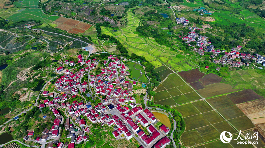 撫州市南豐縣萊溪鄉九聯村，白墻紅瓦的民居與綠色田園相互映襯，構成一幅宜居宜業和美鄉村畫卷。人民網 朱海鵬攝