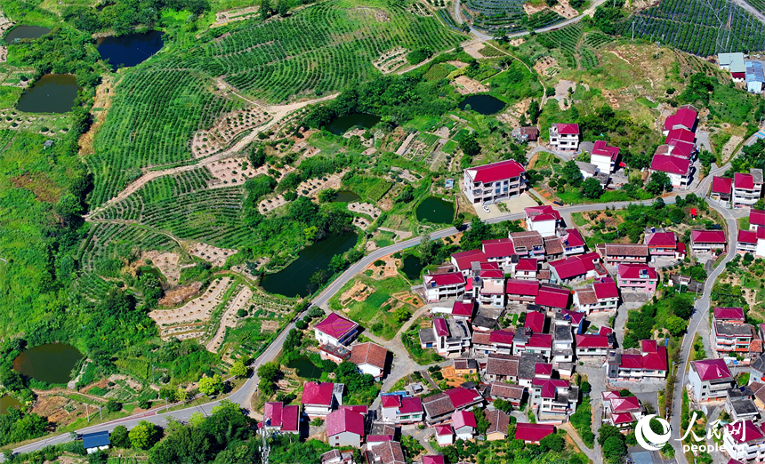 撫州市南豐縣萊溪鄉九聯村，白墻紅瓦的民居與綠色田園相互映襯，構成一幅宜居宜業和美鄉村畫卷。人民網 朱海鵬攝