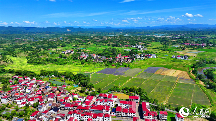 撫州市南豐縣萊溪鄉九聯村，白墻紅瓦的民居與綠色田園相互映襯，構成一幅宜居宜業和美鄉村畫卷。人民網 朱海鵬攝