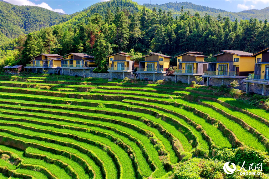 贛州市崇義縣上堡鄉，層層疊疊的梯田沿山勢綿亙蜿蜒，與錯落有致的農房、民宿相互映襯。人民網 朱海鵬攝