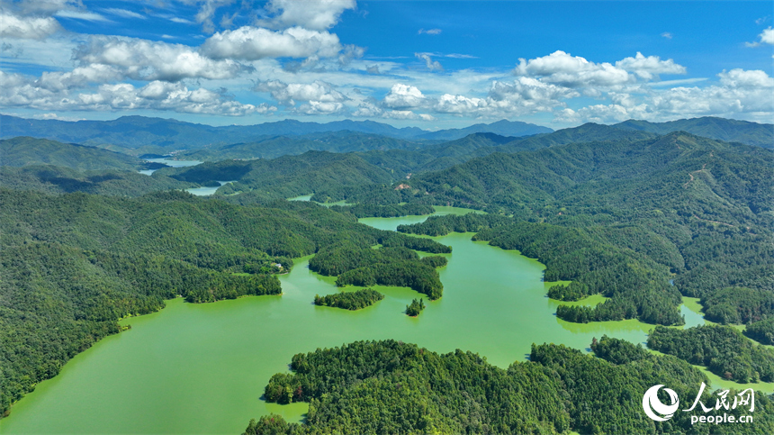 贛州市上猶縣陽明湖，山青水碧、樹木蔥蘢，與藍天白云相映成畫。人民網 朱海鵬攝