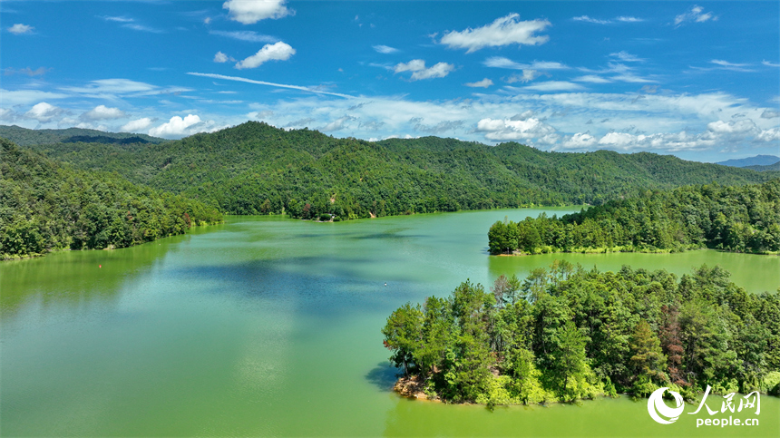 贛州市上猶縣陽明湖，山青水碧、樹木蔥蘢，與藍天白云相映成畫。人民網 朱海鵬攝
