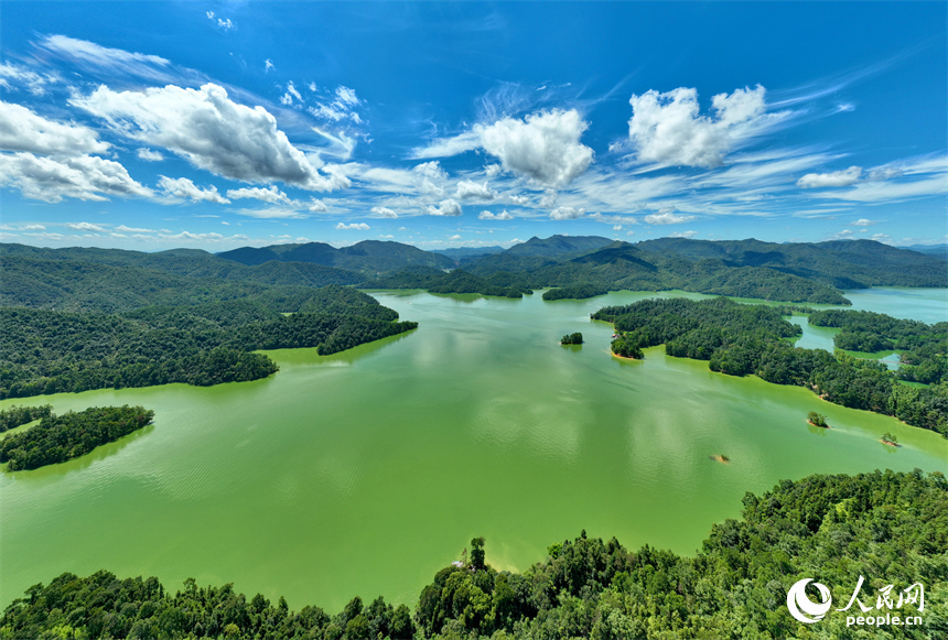 贛州市上猶縣陽明湖，山青水碧、樹木蔥蘢，與藍天白云相映成畫。人民網 朱海鵬攝