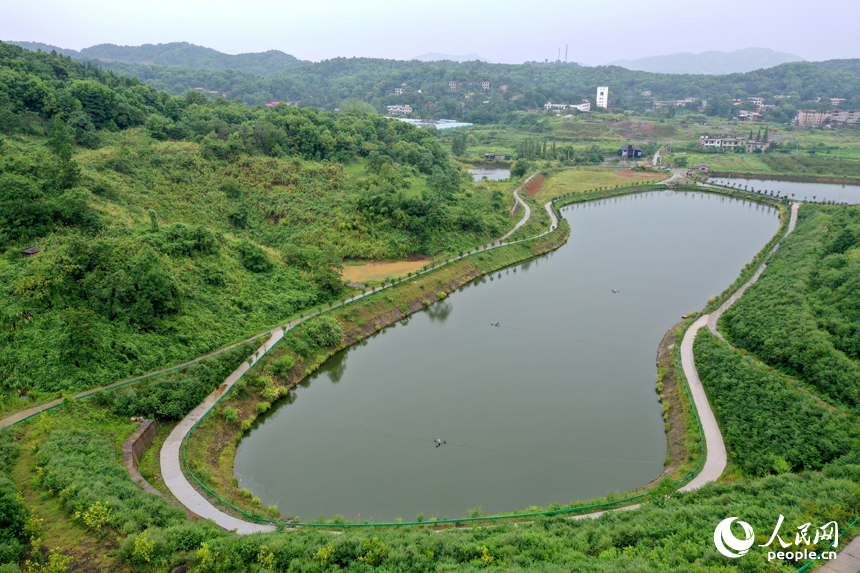 采礦區的沉陷區經過生態修復后成為一池碧水。人民網記者 時雨攝