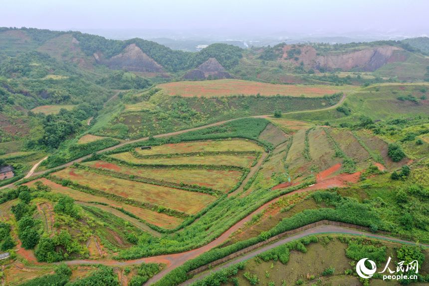 采礦區經過生態修復后披上“綠裝”。人民網記者 時雨攝