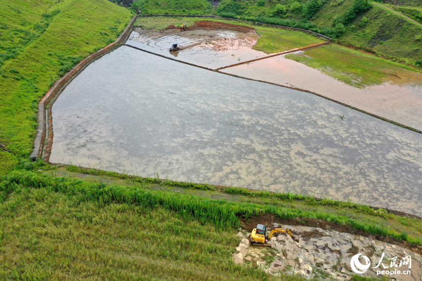 采礦區經過生態修復后成為耕地。圖為大型機械正在翻整水田，準備種植晚稻。人民網記者 時雨攝