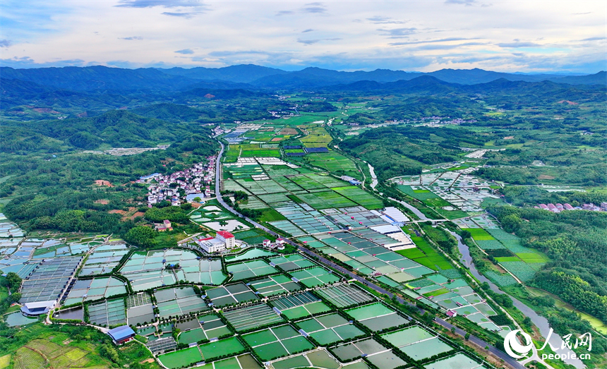 撫州市南豐縣太和鎮丹陽村，車輛行駛在通村公路上，沿線農房、魚塘、稻田、群山相映成畫。人民網 朱海鵬攝