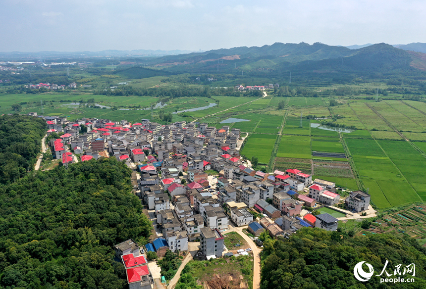 航拍鏡頭下，初秋時節的上高縣蘆洲鄉上新村宛如一幅精心繪制的田園畫卷。 人民網記者 時雨攝