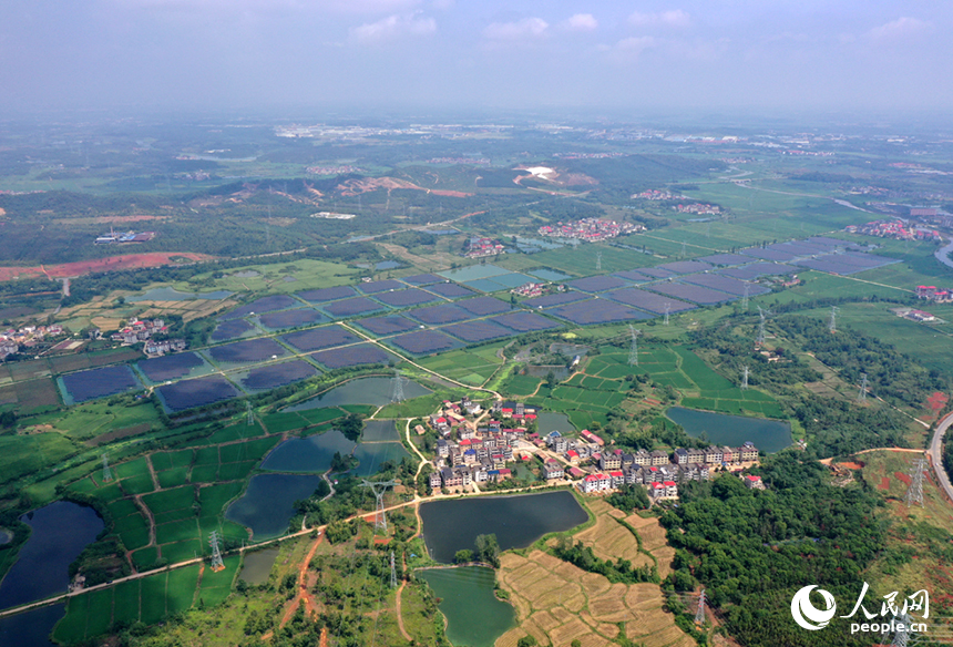 航拍鏡頭下，初秋時節的上高縣蘆洲鄉上新村宛如一幅精心繪制的田園畫卷。 人民網記者 時雨攝