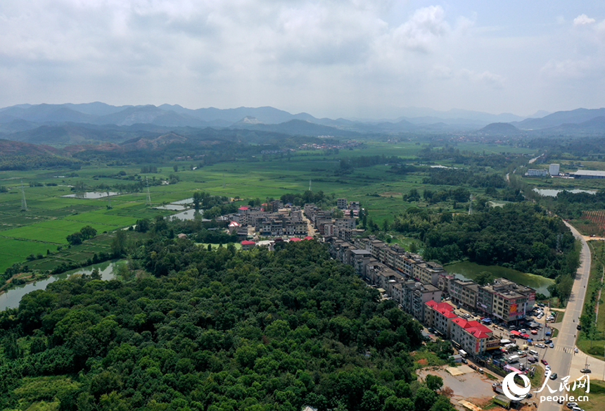 航拍鏡頭下，初秋時節的上高縣蘆洲鄉上新村宛如一幅精心繪制的田園畫卷。 人民網記者 時雨攝