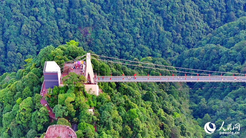 許多游客在安遠縣三百山景區玻璃棧道游玩。人民網 朱海鵬攝