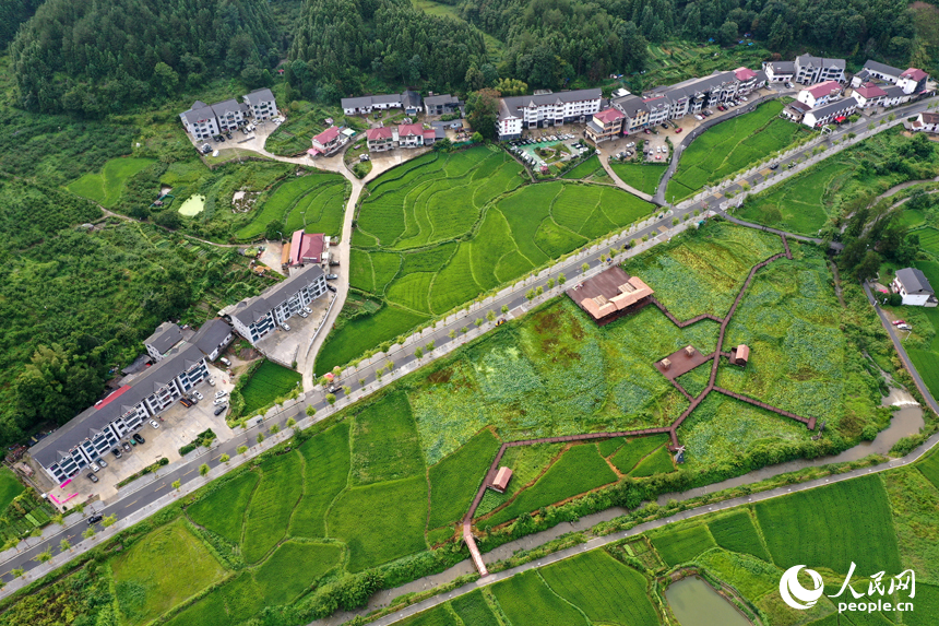 靖安縣中源鄉山間的民宿與層疊的綠色田園交相輝映。人民網記者 時雨攝