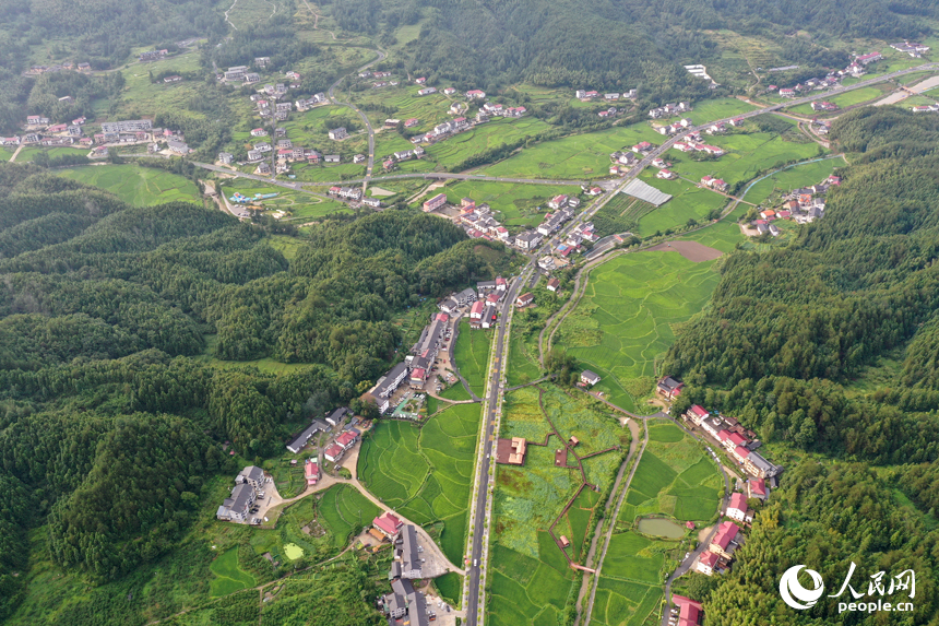 靖安縣中源鄉山間的民宿與層疊的綠色田園交相輝映。人民網記者 時雨攝