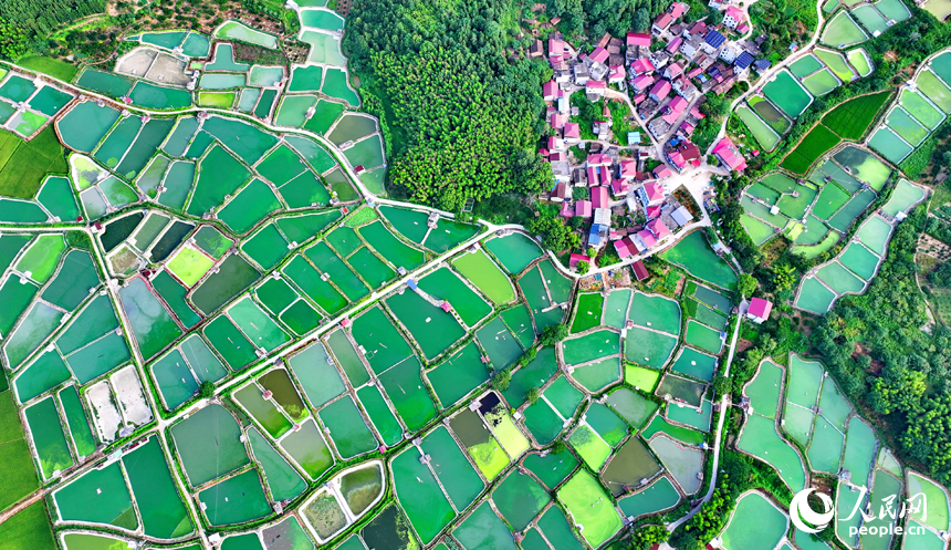 撫州市南豐縣桑田鎮司前村一帶的水產養殖塘星羅棋布，猶如大地調色板。人民網 朱海鵬攝