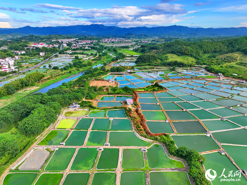 撫州市南豐縣桑田鎮司前村一帶的水產養殖塘星羅棋布，猶如大地調色板。人民網 朱海鵬攝