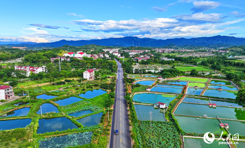 撫州市南豐縣桑田鎮司前村一帶的水產養殖塘星羅棋布，猶如大地調色板。人民網 朱海鵬攝