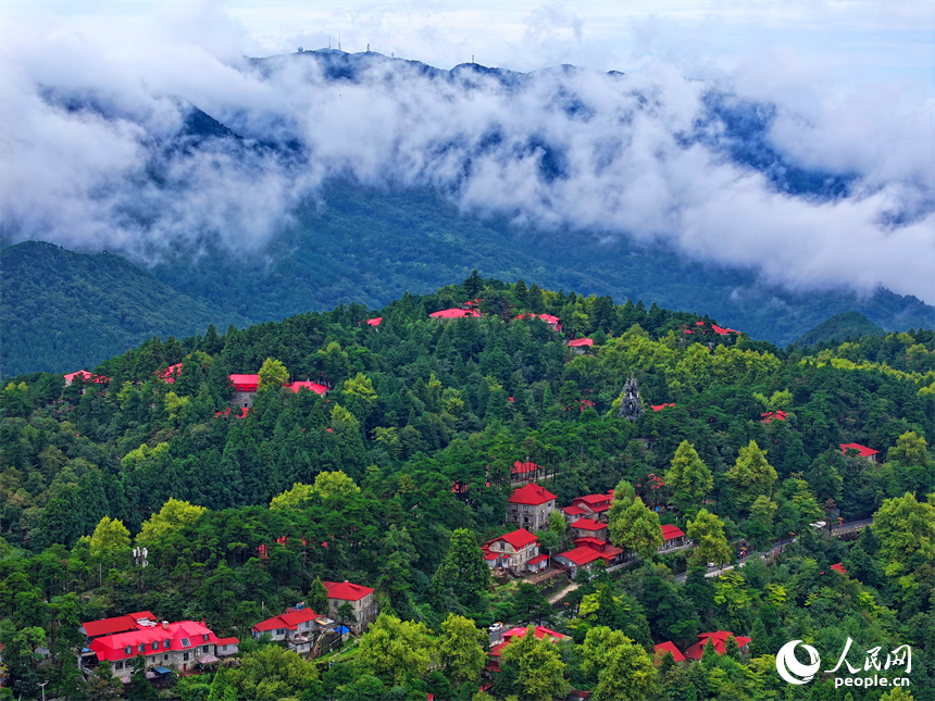 廬山市牯嶺鎮云霧繚繞，美輪美奐，與房屋、綠樹相映成景。人民網 朱海鵬攝