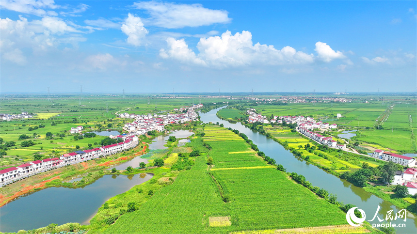 九江市永修縣三角鄉紅旗村，蜿蜒的河流與田園、農房相映成景，如同一幅秋日鄉村畫卷映入眼簾。人民網 朱海鵬攝