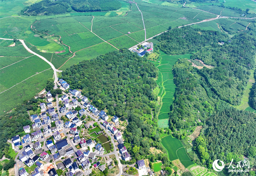 德興市香屯街道柏垣村，鱗次櫛比的房屋與蜿蜒的樂安江相映成景，構成一幅河暢、水清、岸綠的和美鄉村畫卷。人民網 朱海鵬攝