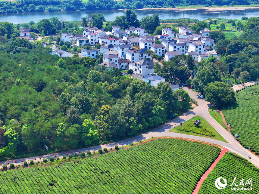 德興市香屯街道柏垣村，鱗次櫛比的房屋與蜿蜒的樂安江相映成景，構成一幅河暢、水清、岸綠的和美鄉村畫卷。人民網 朱海鵬攝
