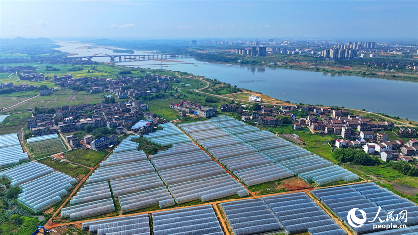 撫州市東臨新區湖南鄉店下村，撫河沿岸城市建筑與鄉村田園相互映襯，構成一幅水清岸綠的城鄉美景畫卷。人民網 朱海鵬攝