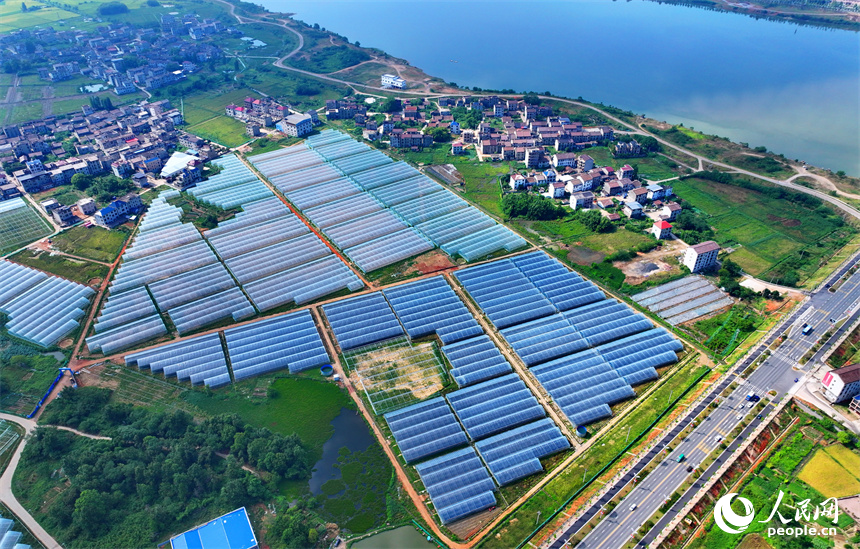 撫州市東臨新區湖南鄉店下村，撫河沿岸城市建筑與鄉村田園相互映襯，構成一幅水清岸綠的城鄉美景畫卷。人民網 朱海鵬攝