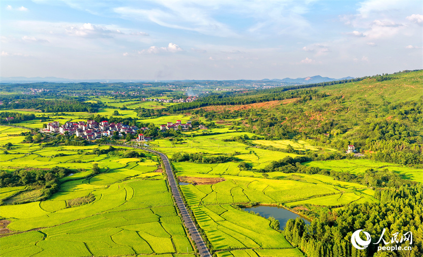 吉安市泰和縣馬市鎮南溪村，農村公路沿線阡陌縱橫、房屋錯落，青山與綠樹交相輝映，處處“豐”景宜人。人民網 朱海鵬攝