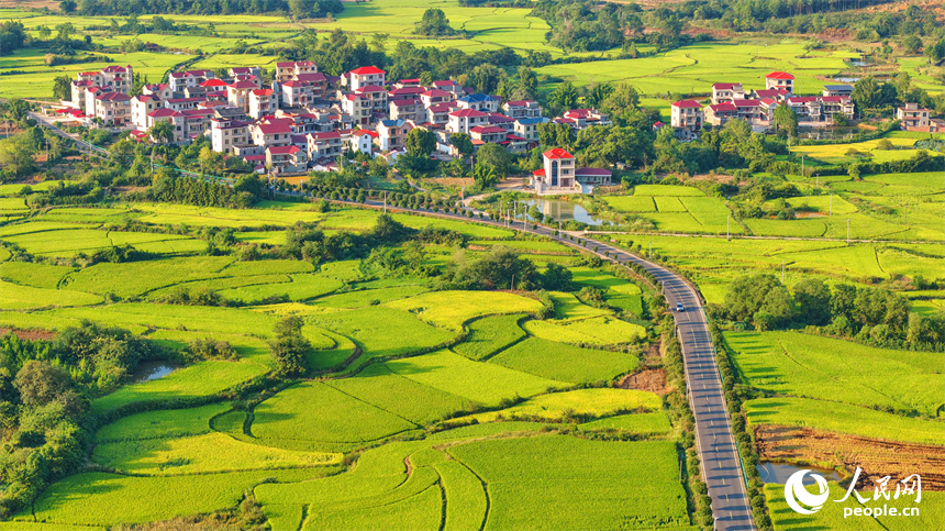 吉安市泰和縣馬市鎮南溪村，農村公路沿線阡陌縱橫、房屋錯落，青山與綠樹交相輝映，處處“豐”景宜人。人民網 朱海鵬攝