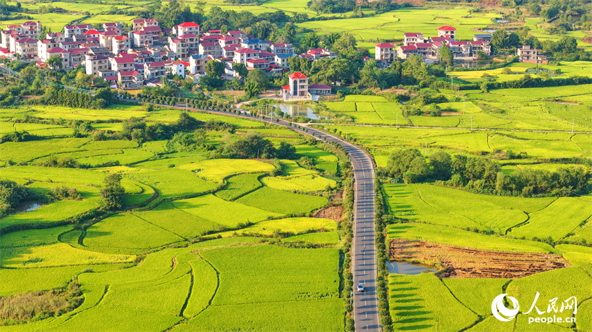 吉安市泰和縣馬市鎮南溪村，農村公路沿線阡陌縱橫、房屋錯落，青山與綠樹交相輝映，處處“豐”景宜人。人民網 朱海鵬攝