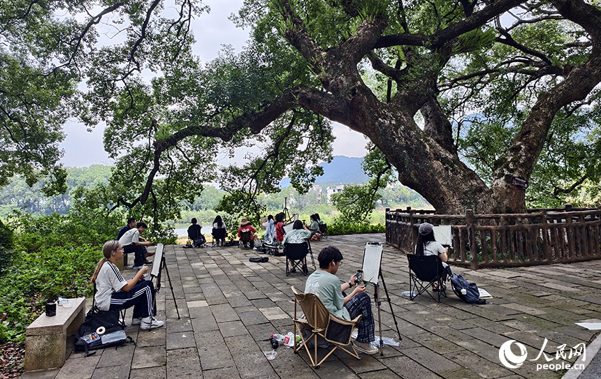 藝術院校的學生們慕名來到水南古樟林，用畫筆描繪古樹的虬枝與光影。人民網記者 時雨攝