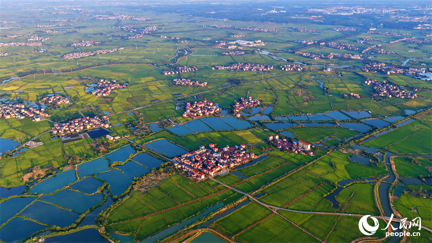 樟樹市大橋街道漁塘村，田園水系環繞，農房錯落有致，秋日鄉村美景怡人。人民網 朱海鵬攝
