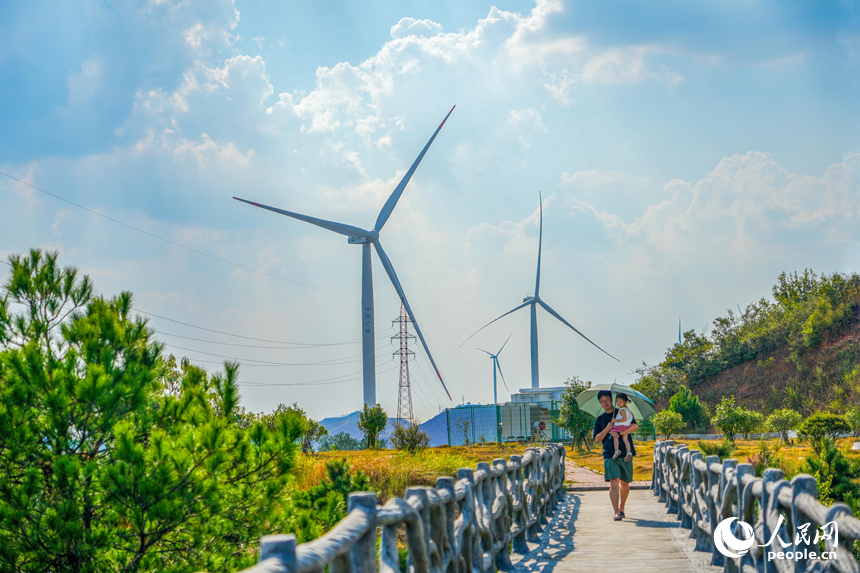 風電塔、輸電設施立于綠樹藍天間，與生態景觀相融。人民網 涂詩軒攝