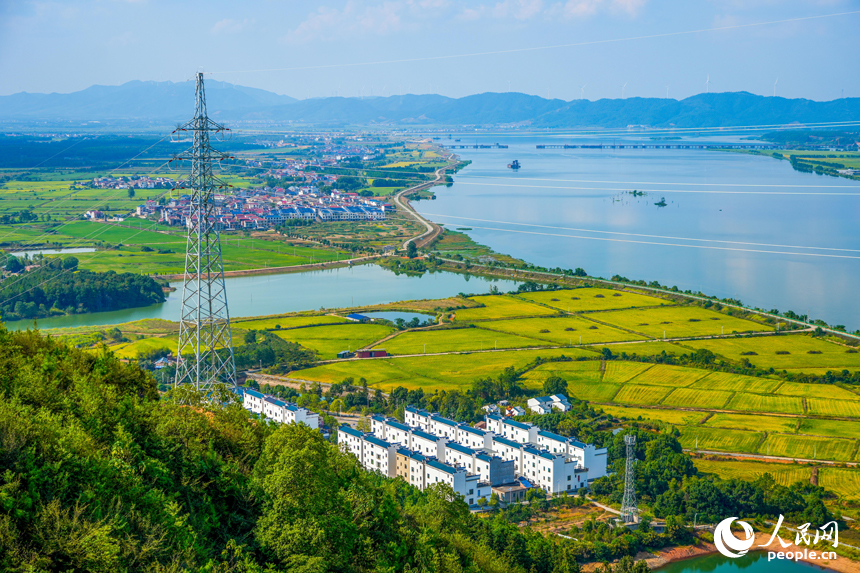 贛江江畔田野村落與輸電塔錯落分布。人民網 涂詩軒攝