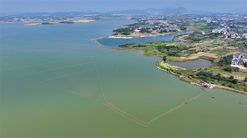 漁民們趁著晴好天氣開啟秋捕作業。潘成攝