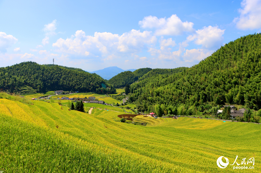 崇義縣上堡鄉水南村，層疊蜿蜒的梯田吸引不少游客前來游覽。人民網 朱海鵬攝