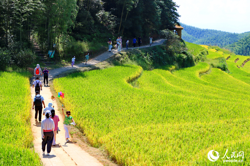 崇義縣上堡鄉水南村，層疊蜿蜒的梯田吸引不少游客前來游覽。人民網 朱海鵬攝