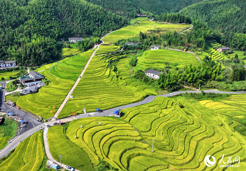 崇義縣上堡鄉水南村，層疊蜿蜒的梯田吸引不少游客前來游覽。人民網 朱海鵬攝