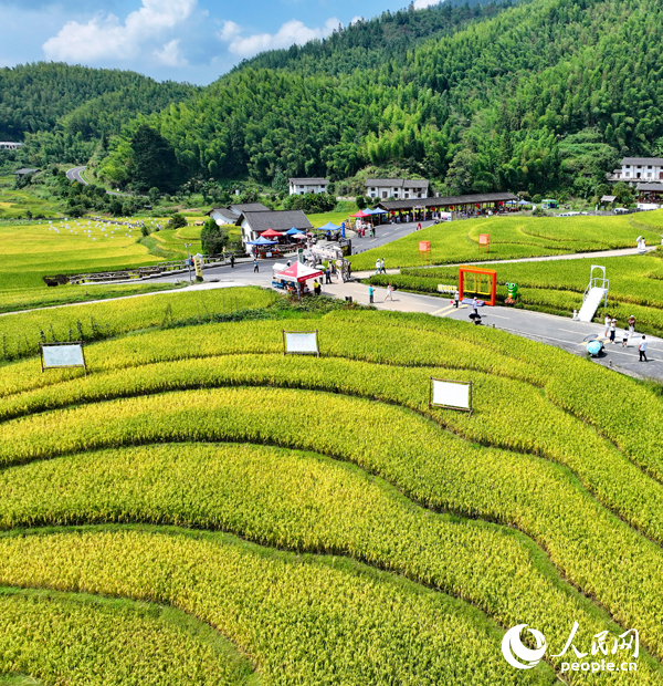 崇義縣上堡鄉水南村，層疊蜿蜒的梯田吸引不少游客前來游覽。人民網 朱海鵬攝