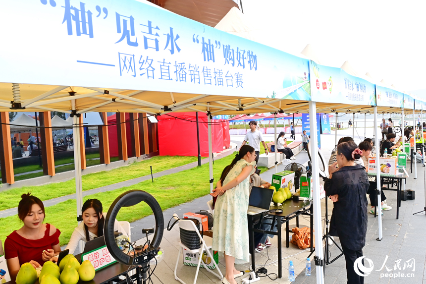 活動現場，參加網絡直播銷售擂臺賽的主播們通過直播助力井岡蜜柚銷售。人民網 朱海鵬攝